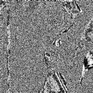 第2位上的二值图