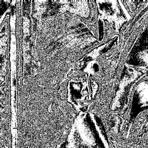 第3位上的二值图